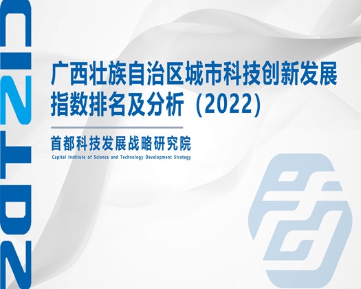 紧屄视频【成果发布】广西壮族自治区城市科技创新发展指数排名及分析（2022）